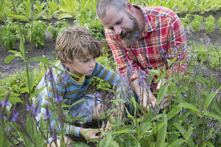 Das Foto zeigt einen Mann und einen Jungen bei der Gartentherapie in einem Beet.