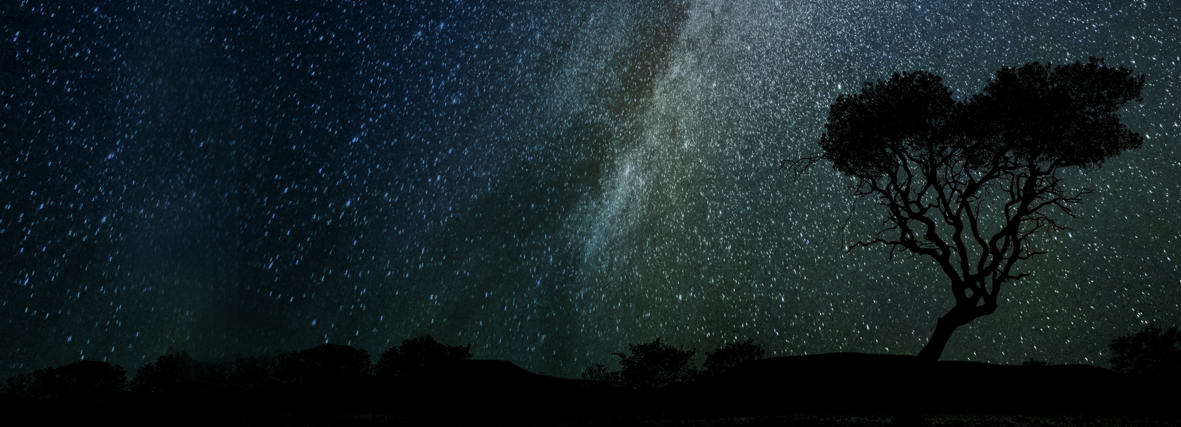 Das Foto zeigt einen einsamen Baum bei Nacht, während der Himmel von unserer Milchstraße erleuchtet wird.