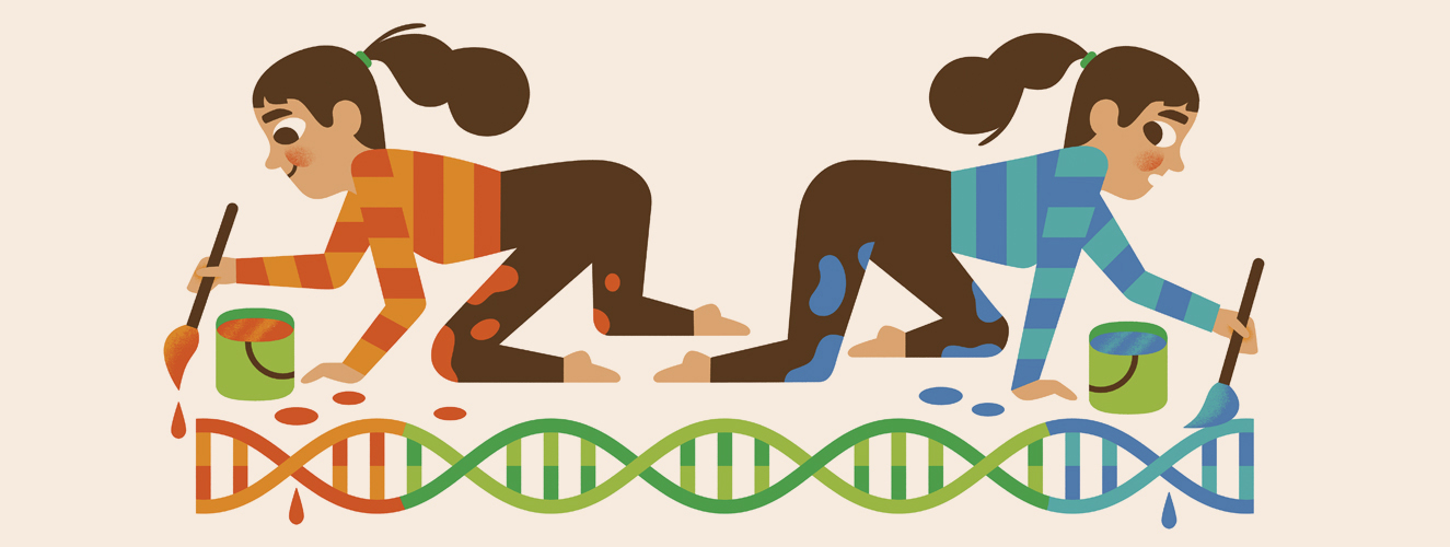Illustration zeigt weibliche Zwillinge, die mit Pinseln einen DNA-Strang auf den Boden malen