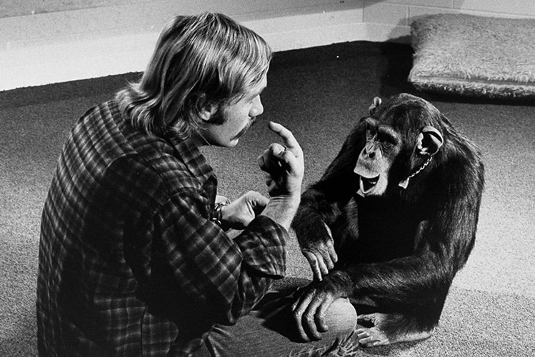 Mann versucht einem Schimpansen das Sprechen zu lernen