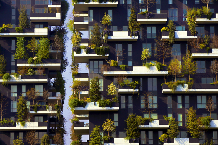 Vertikale Gärten in Mailand als Beispiel dafür, wie wichtig Bäume für unser Leben sind 