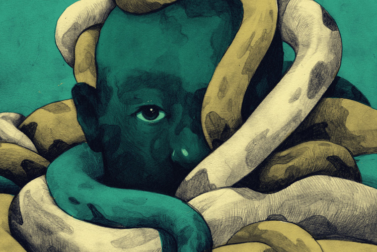 Illustration eines grünen Männerkopfes mit Schlangen umwickelt voller Rachegefühle