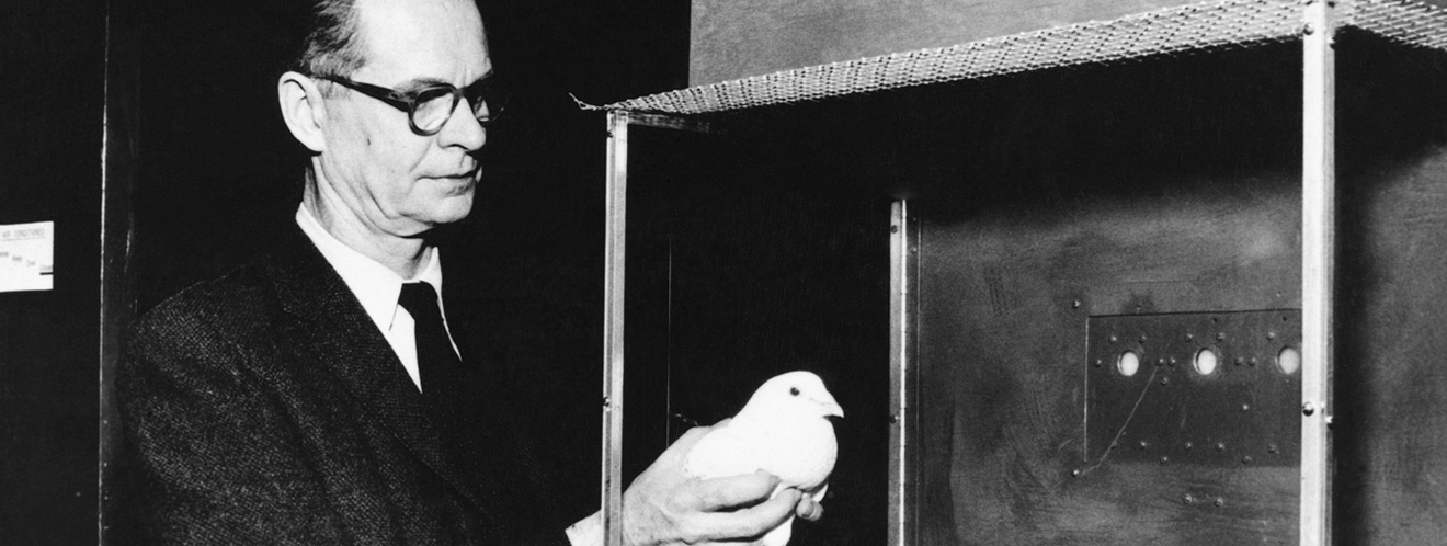 Der Psychoge B.F. Skinner hält eine weiße Taube in der Hand