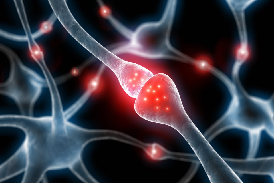 Synapsen im Gehirn, die leuchtend dargestellt sind