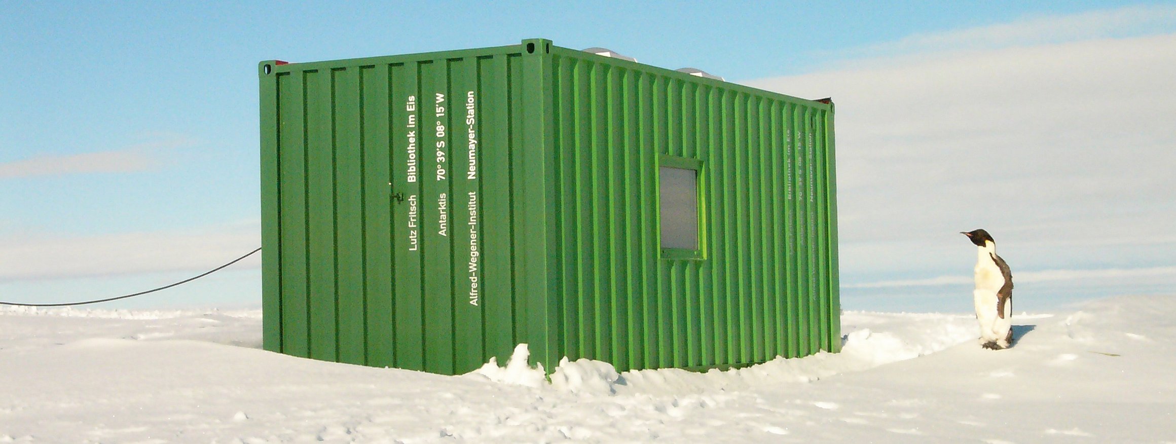 Ein Pinguin steht an einem grünen Container der Neumayer-Station in der Antarktis