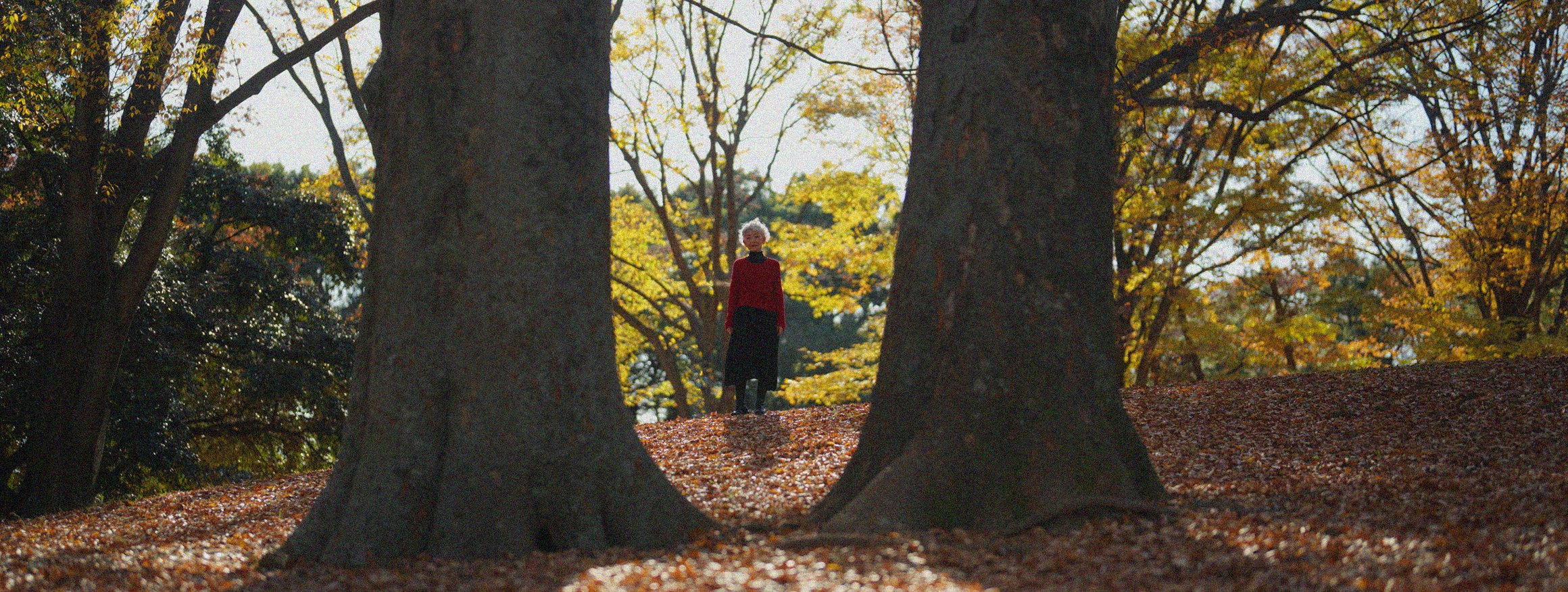 Eine ältere Frau mit grauem Haar steht nachdenklich in der Natur zwischen zwei sehr großen Bäumen
