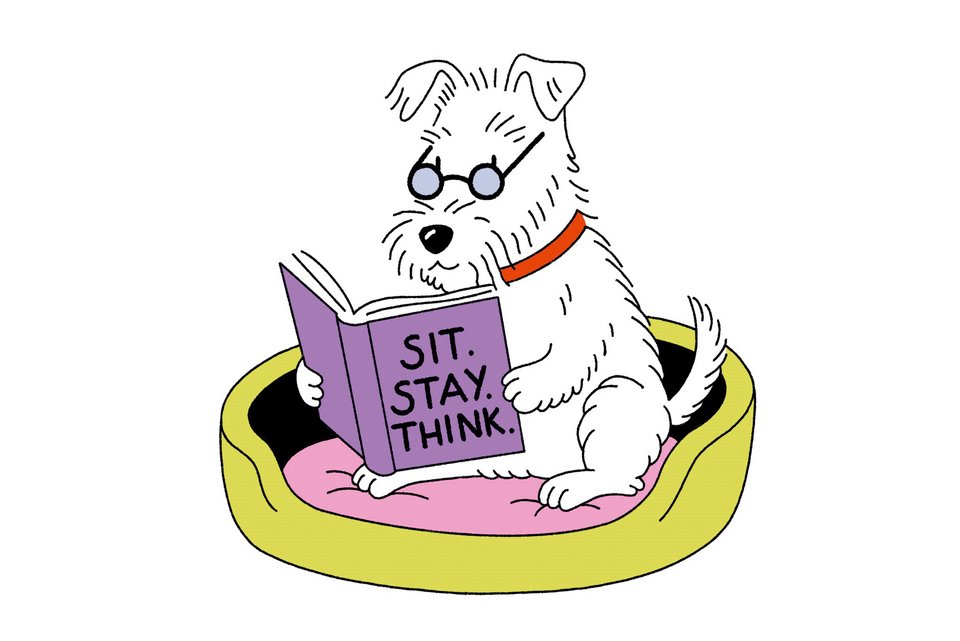 Die Illustration zeigt einen kleinen weißen Hund, der eine Brille trägt, und gerade ein Buch liest, das er iin seien Pfoten hält