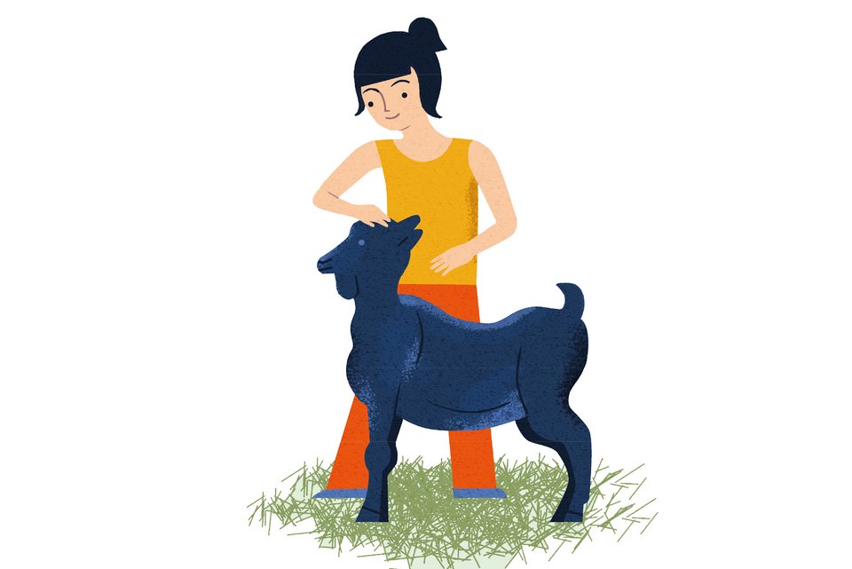 Die Illustration zeigt eine junge Frau, die mit einer Ziege im Gras steht und zufrieden aussieht