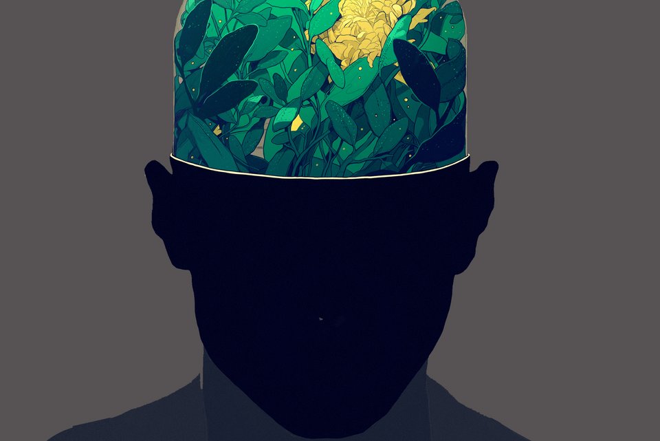 Der Kopf eines Menschen ist halb durchsichtig, und das Gehirn darin besteht aus Pflanzen.