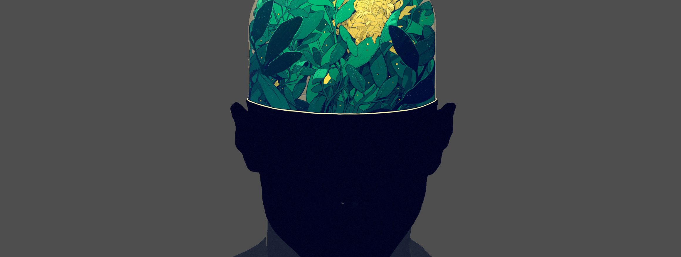 Der Kopf eines Menschen ist halb durchsichtig, und das Gehirn darin besteht aus Pflanzen