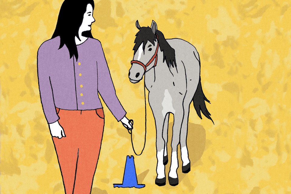 Die Illustration zeigt eine Frau die vor einem Pferd geht und es dabei anschaut