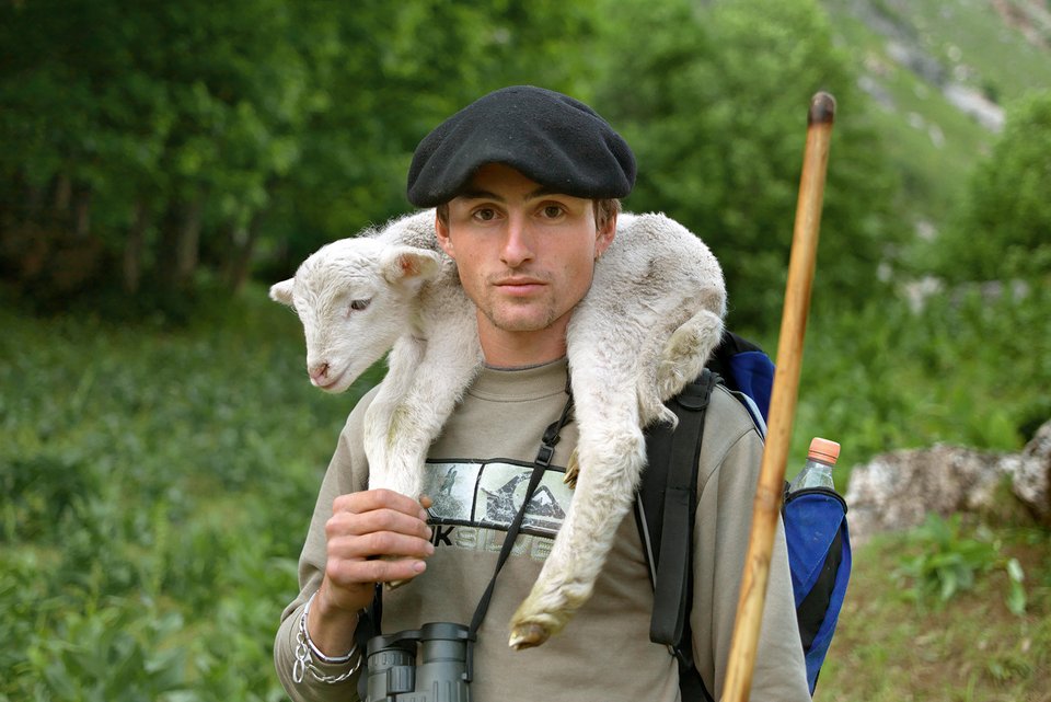 Ein junger Mann mit Baskenmütze auf dem Kopf, steht mit seinem Schäferstab auf der Wiese und trägt dabei ein weißes Lamm auf den Schultern