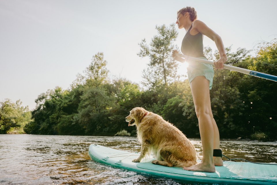 Eine junge Frau steht balancierend, gemeinsam mit ihrem Hund und mit einem Paddel in der Hand, auf einem Bord auf dem See und paddelt
