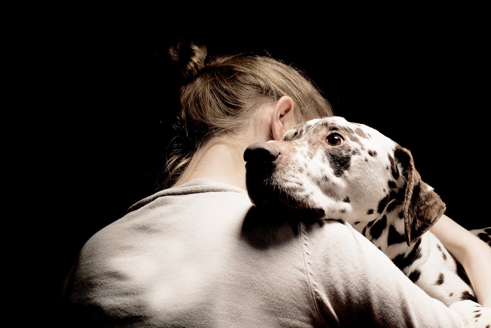 Eine junge Frau hält einen Dalmatiner im Arm der Mitgefühl ausstrahlt