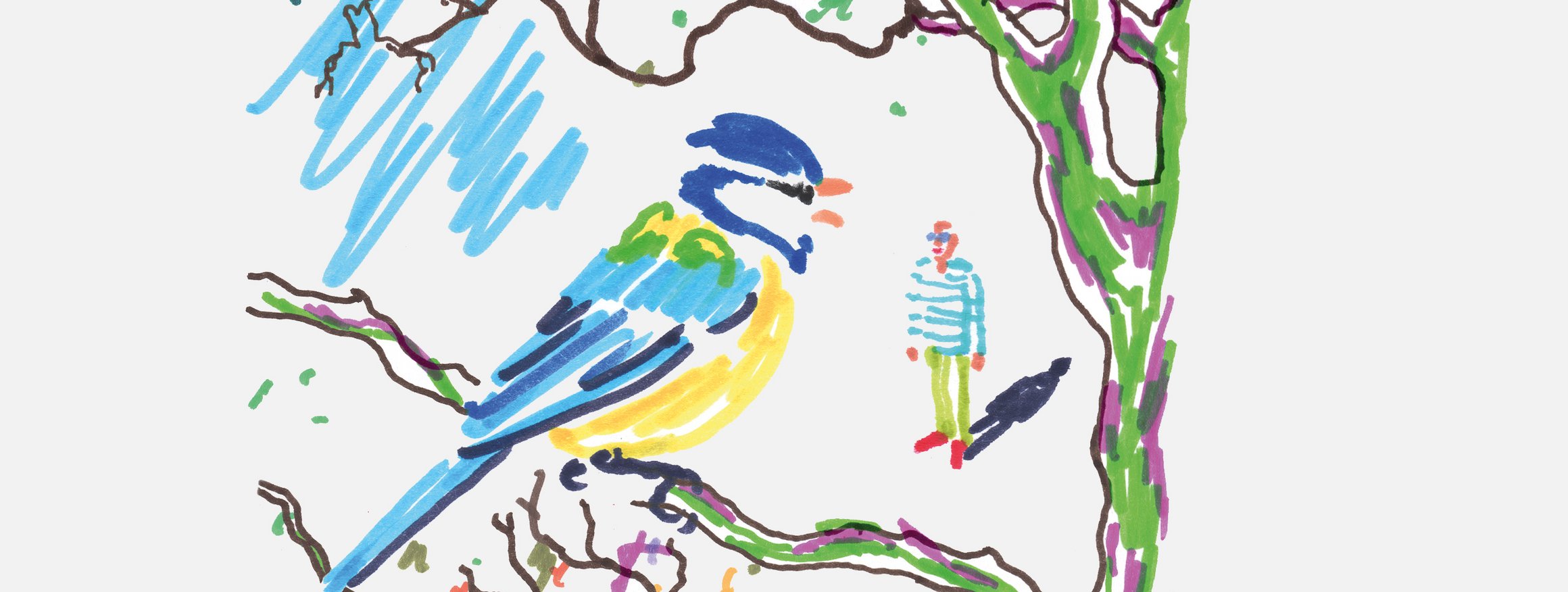 Die Illustration zeigt eine Blaumeise auf einem Ast, die von einem Mann beobachtet wird