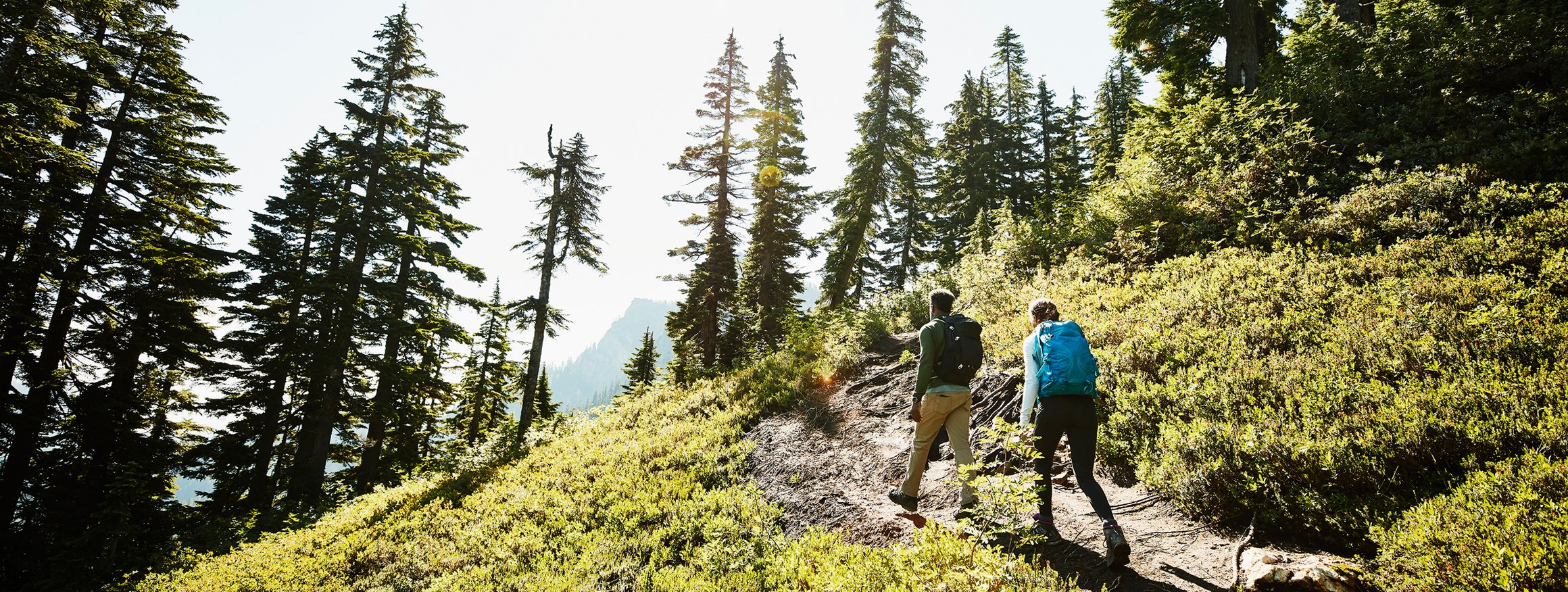 Zwei Wanderer laufen einen Weg an einem Berg hoch, umringt von Sträuchern und Nadelbäumen
