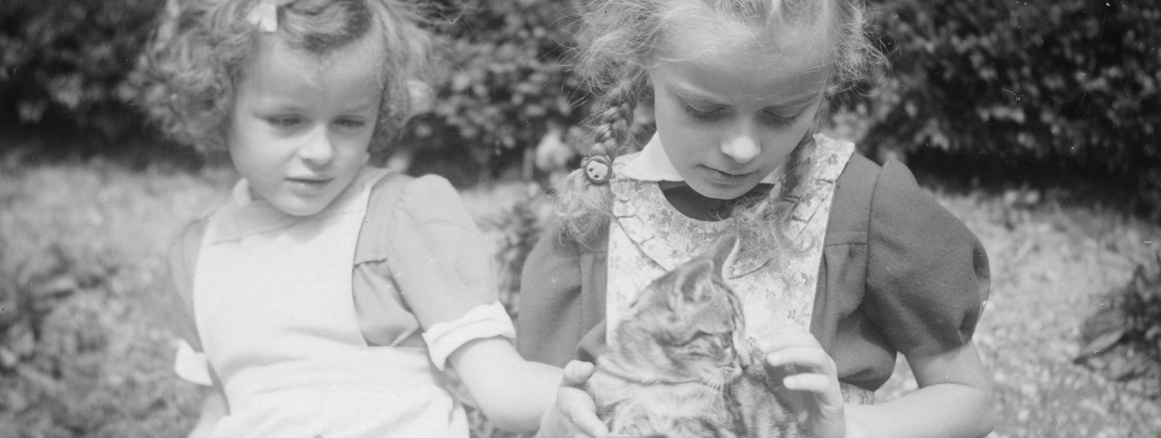 Auf einem alten schwarz-weiß Foto sind zwei blonde Mädchen mit Schürzen und Schleifen im Haar im Garten und ein Mädchen hat ein Kätzchen auf seinem Schoß