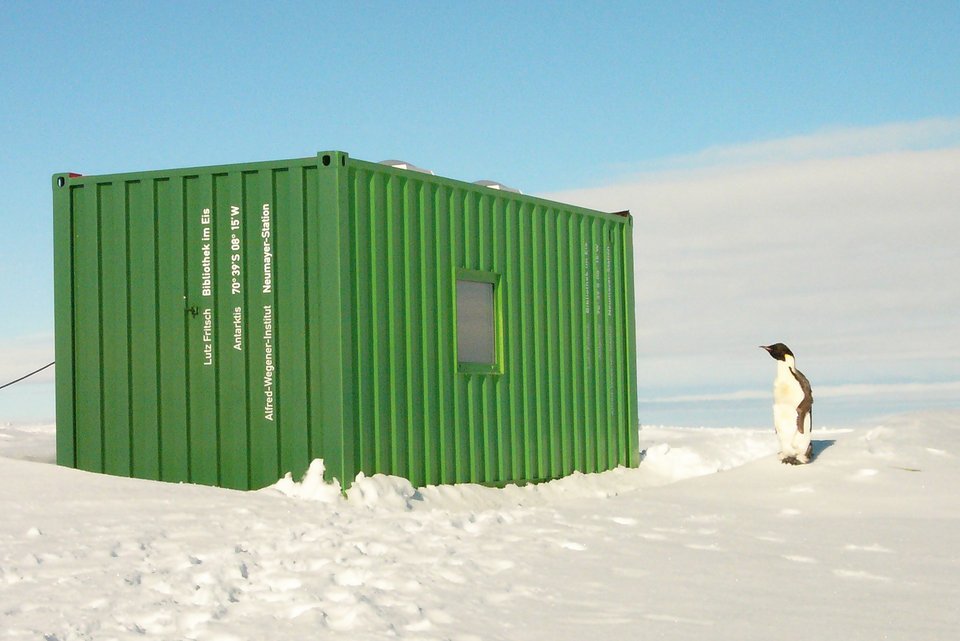 Ein Pinguin steht an einem grünen Container der Neumayer-Station in der Antarktis