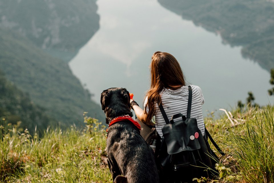 Eine Frau sitzt mit Rucksack auf einer Wiese zusammen mit ihrem Hund und genießt die schöne Aussicht in ein Tal mit einem See