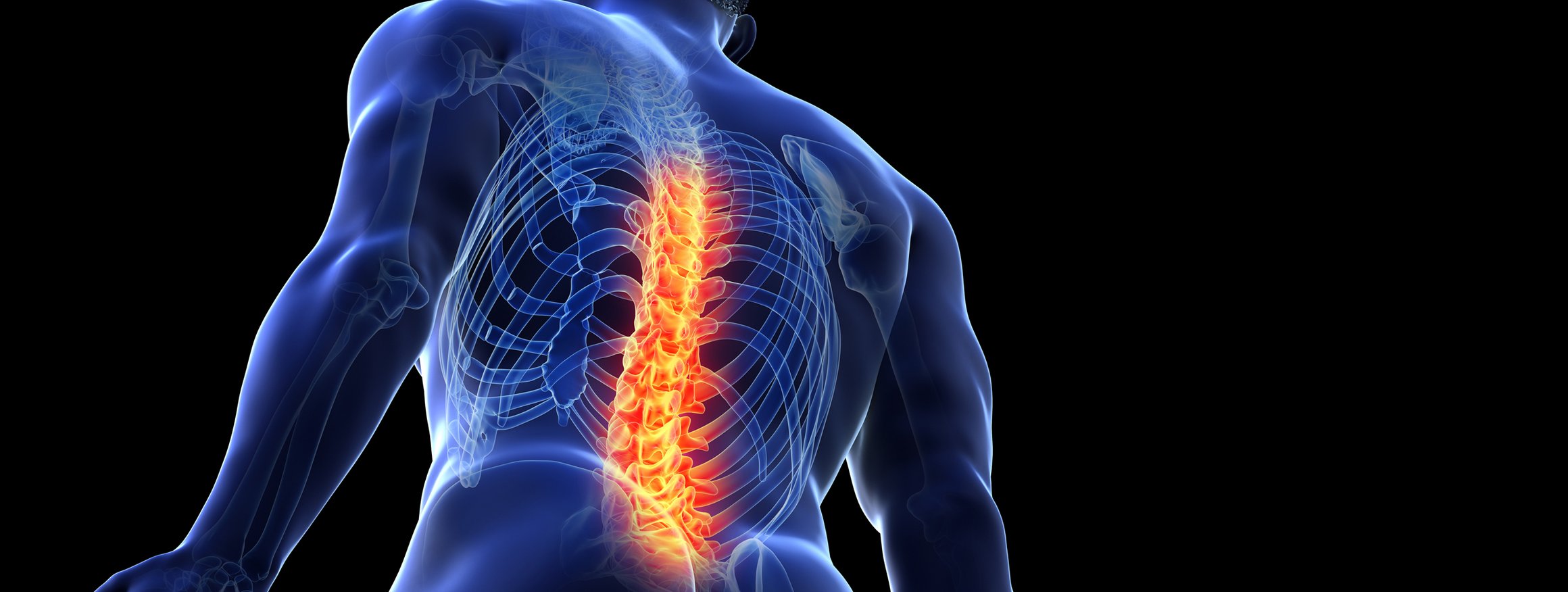 Die Grafik zeigt einen Mann in Rückenansicht und seine Wirbelsäule leuchtet