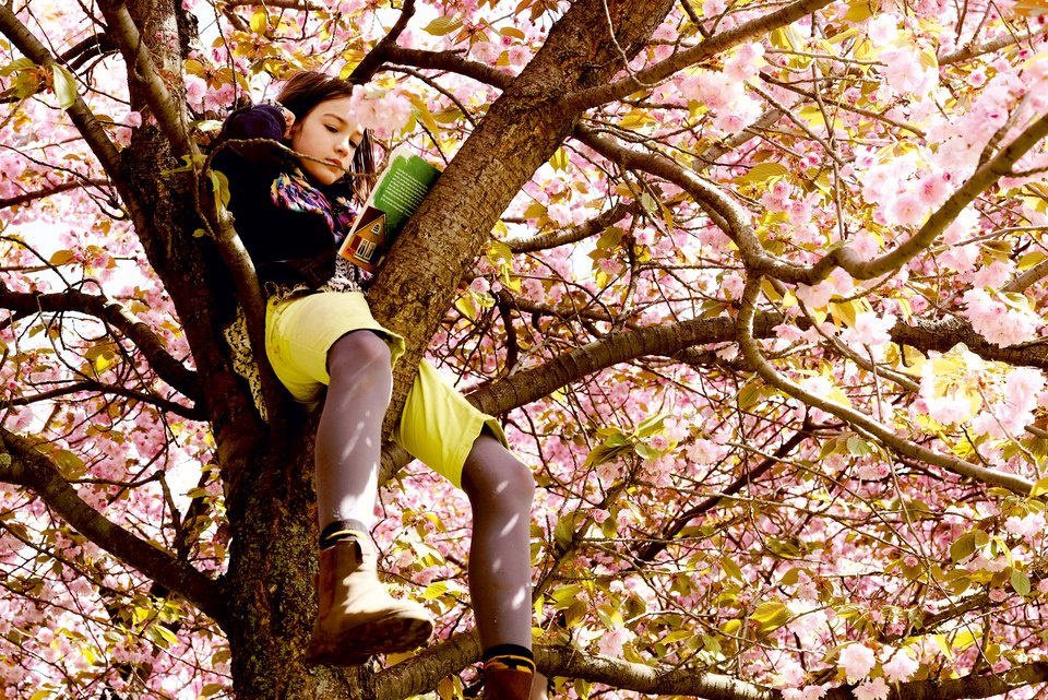 Ein kleines Mädchen sitzt mit gelber Hose und Stiefeln auf einem blühenden Baum und liest in einem Buch