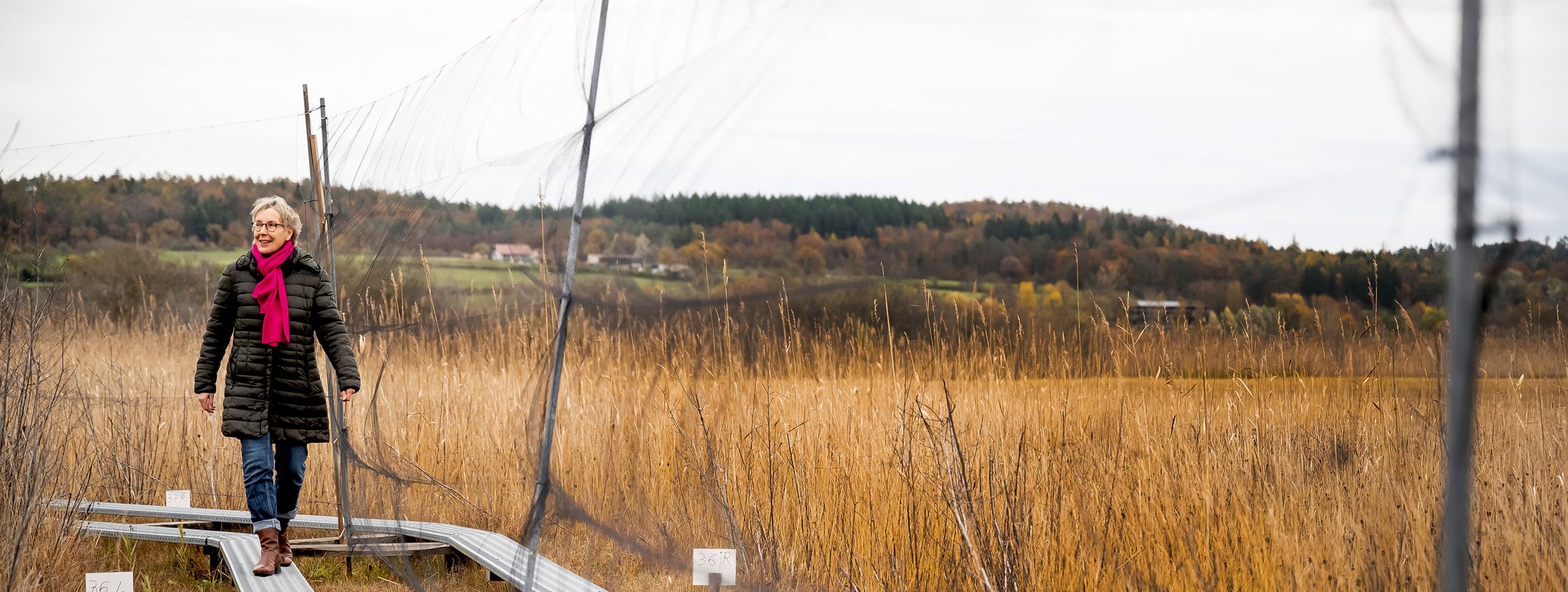 Die Autorin Ilona Jerger läuft in der Natur an einem Netz vorbei