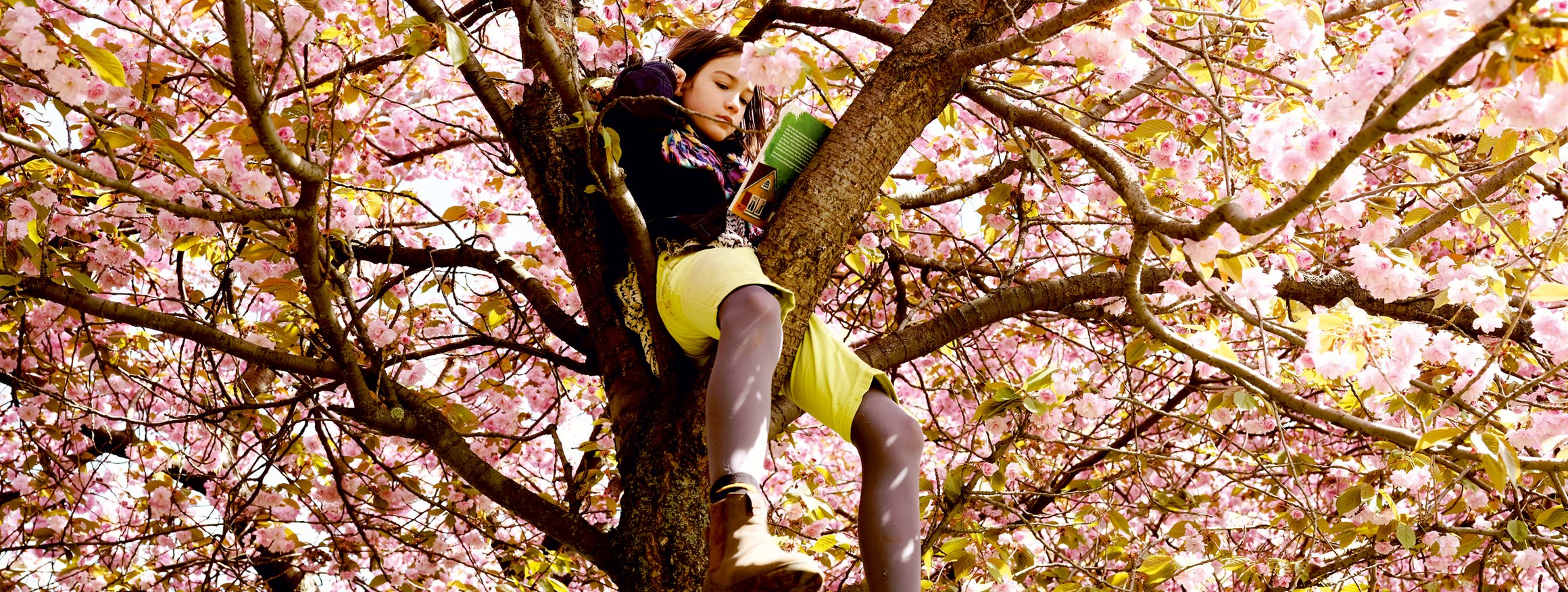 Ein kleines Mädchen sitzt mit gelber Hose und Stiefeln auf einem blühenden Baum und liest in einem Buch