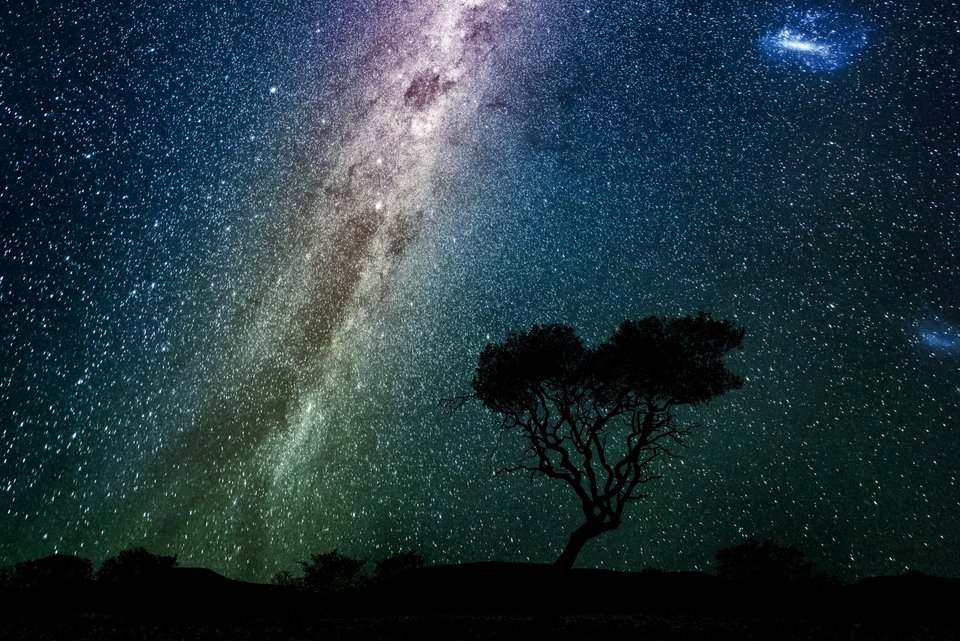 Die Silhouette einen Baumes vor einem Nachthimmel mit sehr vielen Sternen