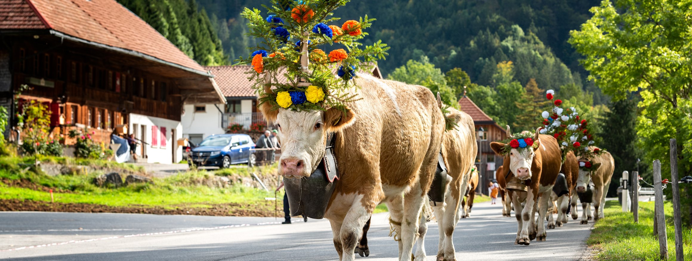 Ein Almabtrieb mit geschmückten Kühen auf einer Dorfstraße im alpenländischen Raum